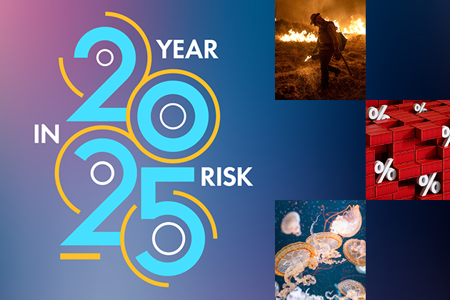 2025 year in risk