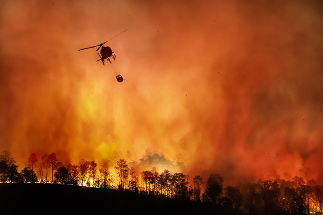 Los Angeles Wildfire Insurance Coverage